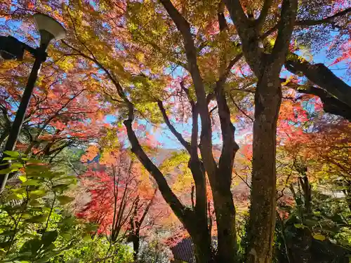 長谷寺(奈良県)