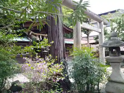 岡崎神社のその他建物