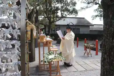 美奈宜神社(福岡県)