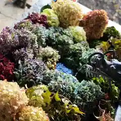 札幌諏訪神社の手水