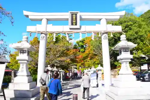 出雲大神宮の鳥居