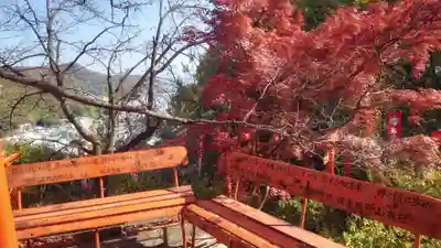 岐阜稲荷山本社(岐阜県)