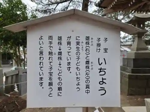 玉前神社(千葉県)
