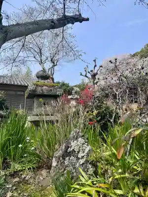 地蔵院の{uncategorized: "未分類", other: "その他", undefined: "問題あり", building: "その他建物", grave: "お墓", sacred_gate: "鳥居", guardian: "狛犬", statue: "像", buddha: "仏像", history: "歴史", nature: "自然", garden: "庭園", animal: "動物", pagoda: "塔", temizu: "手水舎", mountain_gate: "山門・神門", sanctuary: "本殿・本堂", subordinate: "末社・摂社", art: "芸術", scenery: "景色", jizo: "地蔵", ema: "絵馬", goshuin: "御朱印", omikuji: "おみくじ", items: "授与品その他", amulet: "お守り", goshuincho: "御朱印帳", eats: "食事", festival: "お祭り", votive_dance: "神楽", shichigosan: "七五三参", wedding: "結婚式", experience: "体験その他", initially: "初詣", around: "周辺", anti_infection: "感染症対策"}