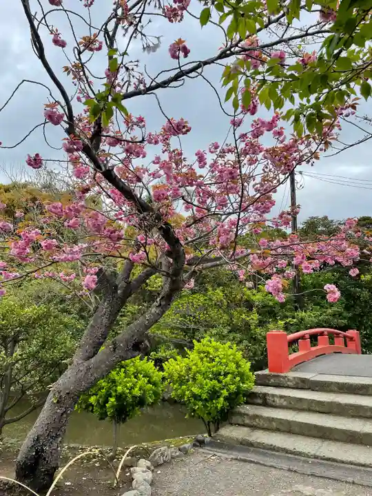 鶴岡八幡宮の自然