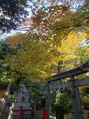 赤坂氷川神社(東京都)