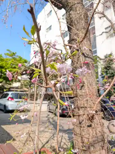 聖輪寺(東京都)