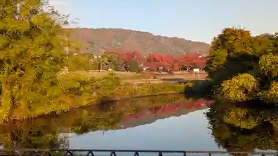 入野神社(京都府)