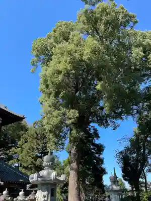 曹源寺(群馬県)