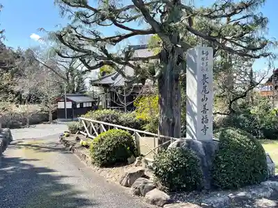 善福寺(滋賀県)