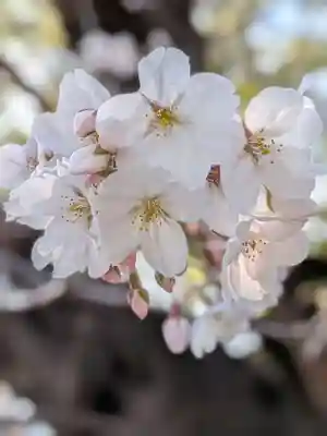 多田神社(東京都)