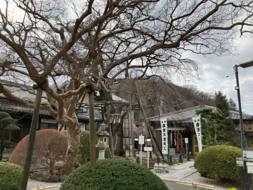 大光寺(東京都)