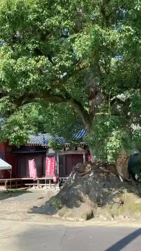 神恵院(香川県)