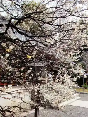 乃木神社(東京都)