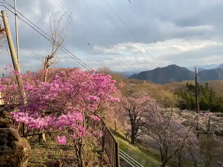 中之嶽神社の自然