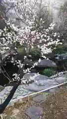 湯島天満宮の庭園