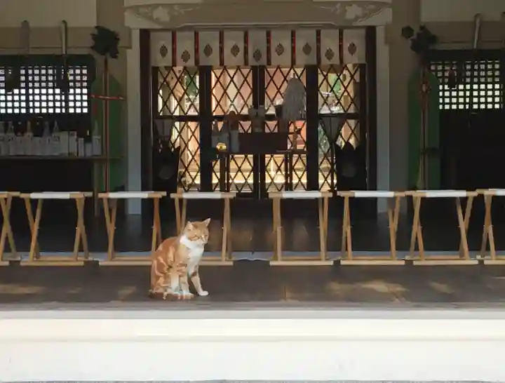 大江神社の動物