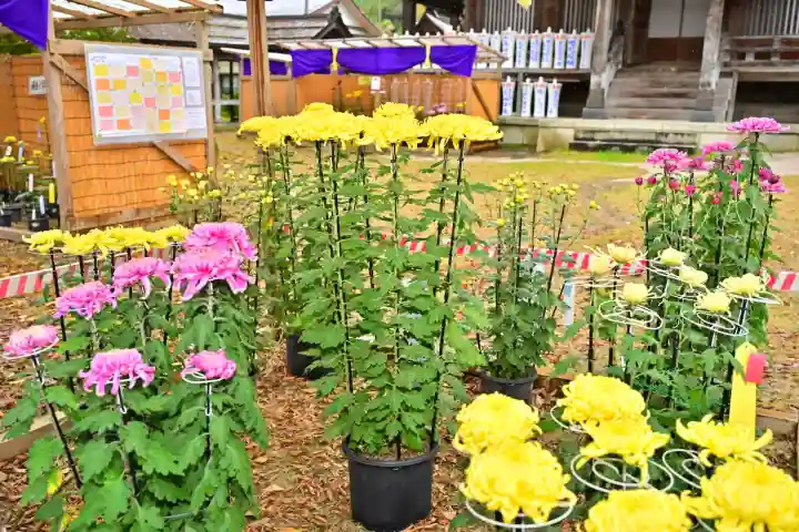 普光寺(新潟県)