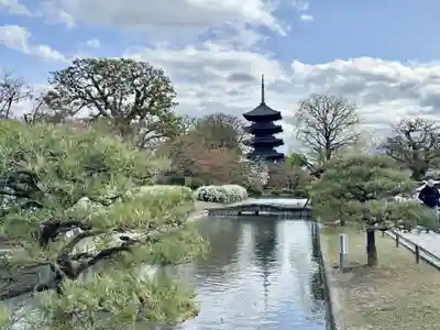 東寺(教王護国寺)の塔