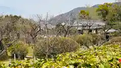 隨心院（随心院）(京都府)