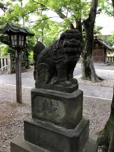 富岡八幡宮の狛犬