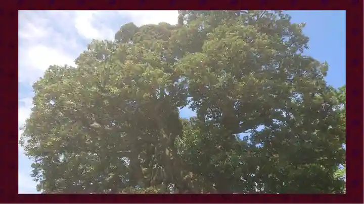 九重神社(埼玉県)