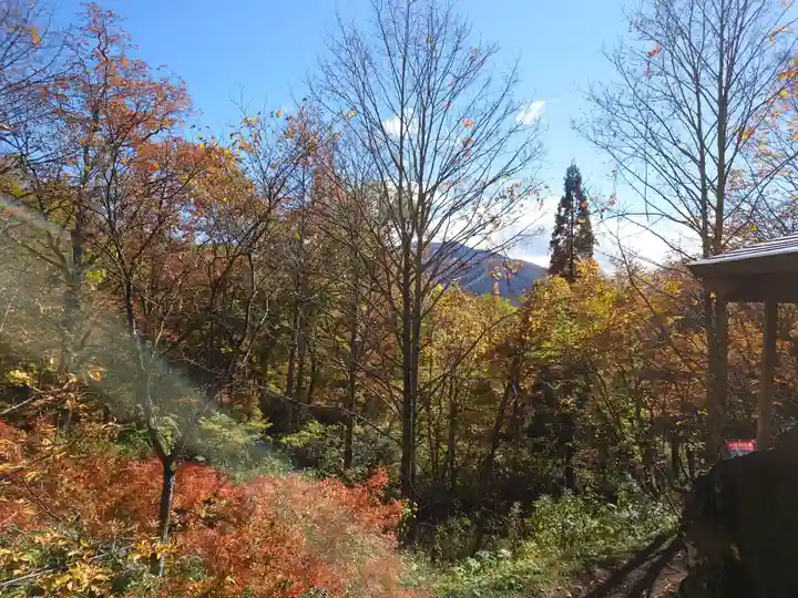 戸隠神社九頭龍社の自然