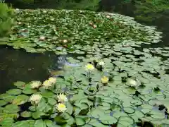 明治神宮(東京都)