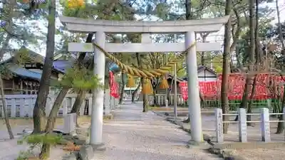 大濱熊野大神社の鳥居