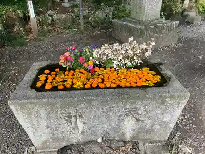 磯山弁財天(栃木県)