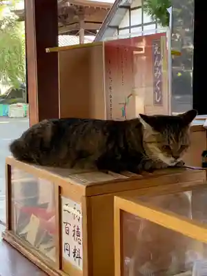 榛名神社の動物