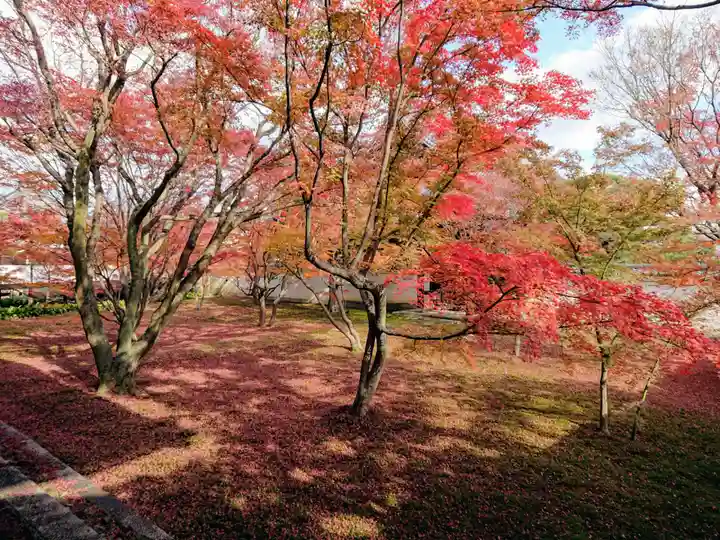 妙覺寺(妙覚寺)(京都府)