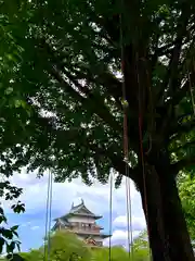 諏訪護国神社(長野県)