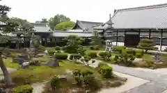 興聖寺（興聖寶林禅寺）の庭園