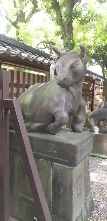 牛嶋神社の狛犬