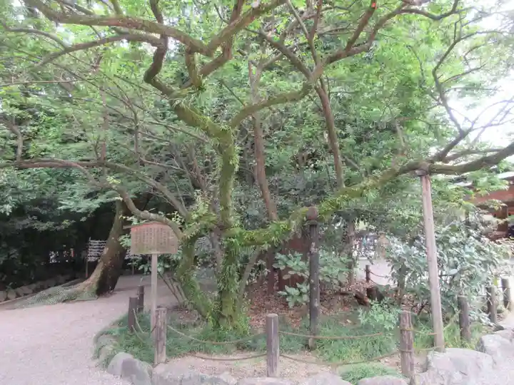 熱田神宮(愛知県)