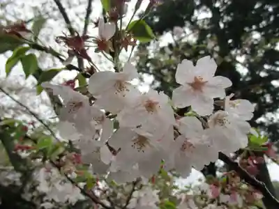 粉河寺(和歌山県)