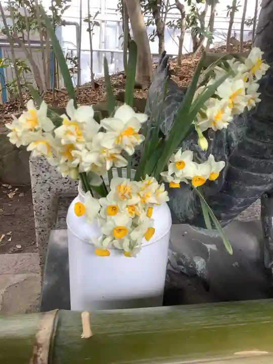 蝮ヶ池八幡宮の手水舎