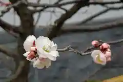 塩竃神社(愛知県)