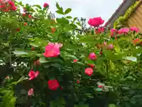 寿量山 速成寺の庭園