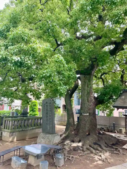 養福寺(東京都)