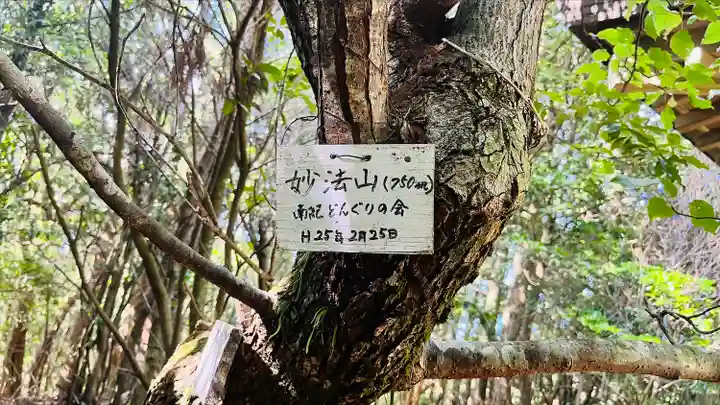 阿弥陀寺の自然