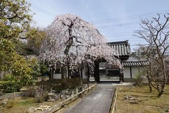 上品蓮台寺の山門・神門