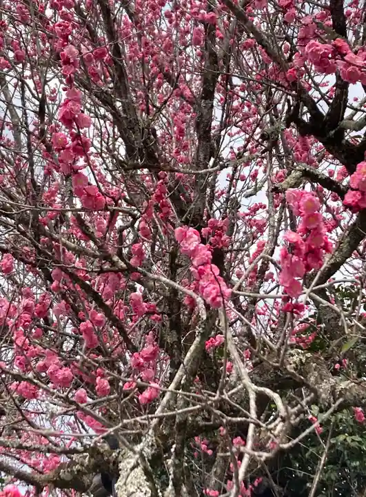 霊鑑寺門跡(京都府)