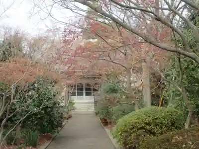 薬師寺(東京都)
