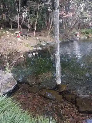 富士山本宮浅間大社の御朱印