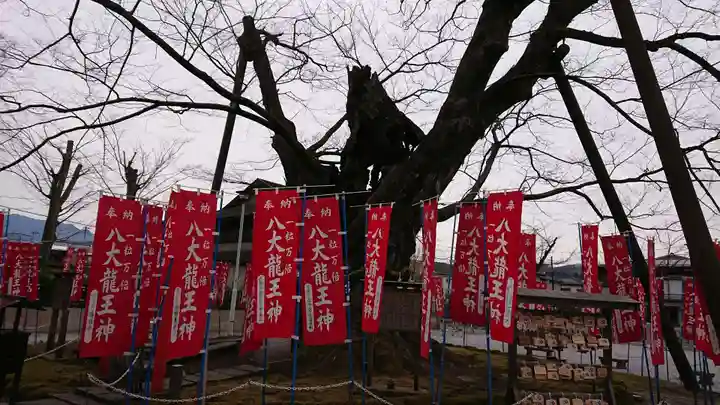 秩父今宮神社の自然