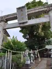 下代菅原神社の鳥居