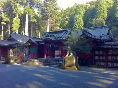 箱根神社の本殿・本堂