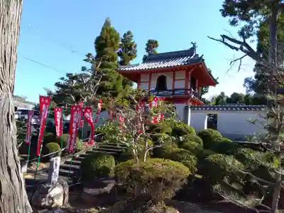 萬年寺の山門・神門